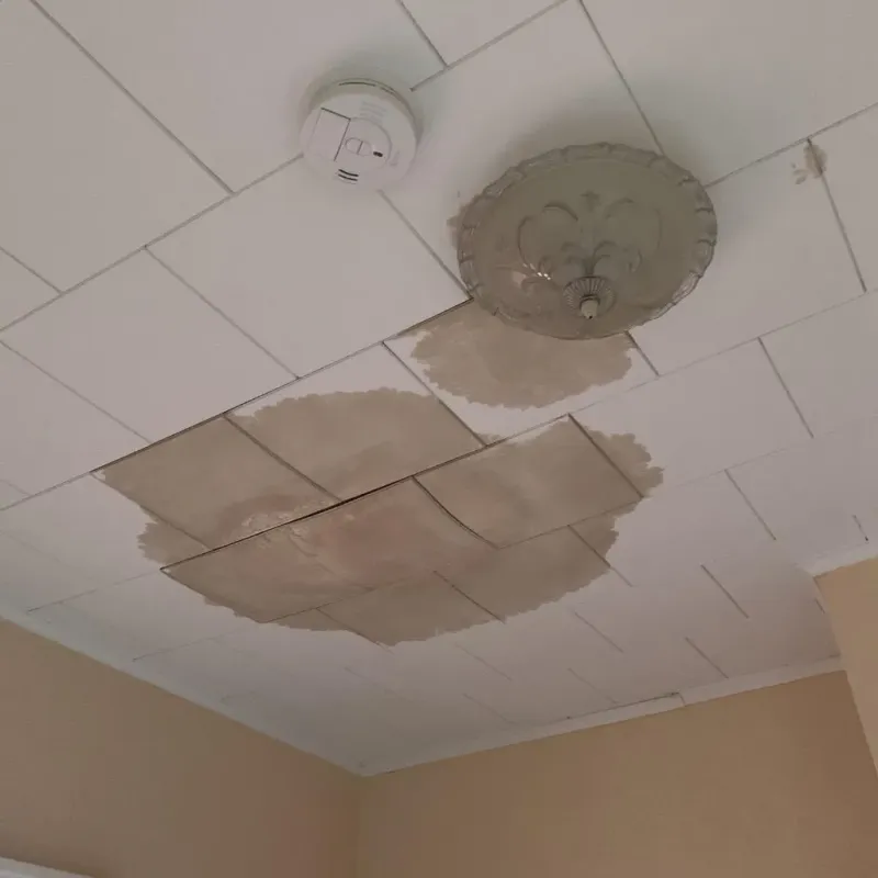 Ceiling Water Damage Repair in Irion County, TX
