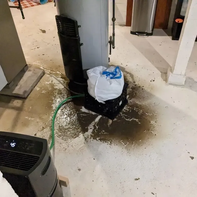 Sewage Backup Cleanup Service in Irion County, TX